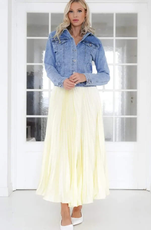 Plain Vanilla & Other Brands We Love Mixed Brands - Elegant Maxi skirt pleated 24113 - Yellow Sale