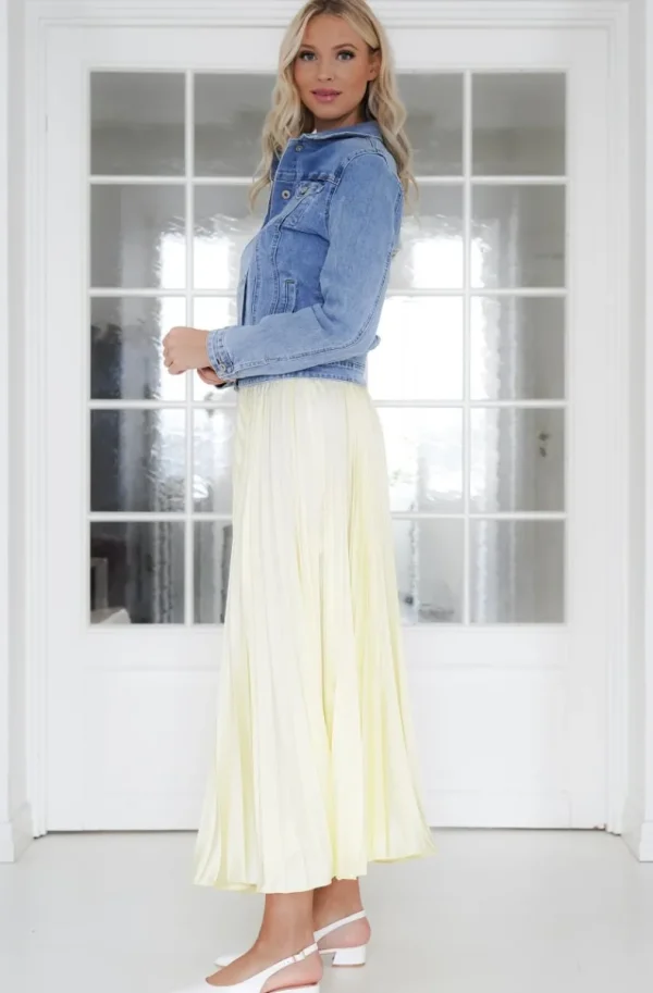 Plain Vanilla & Other Brands We Love Mixed Brands - Elegant Maxi skirt pleated 24113 - Yellow Sale