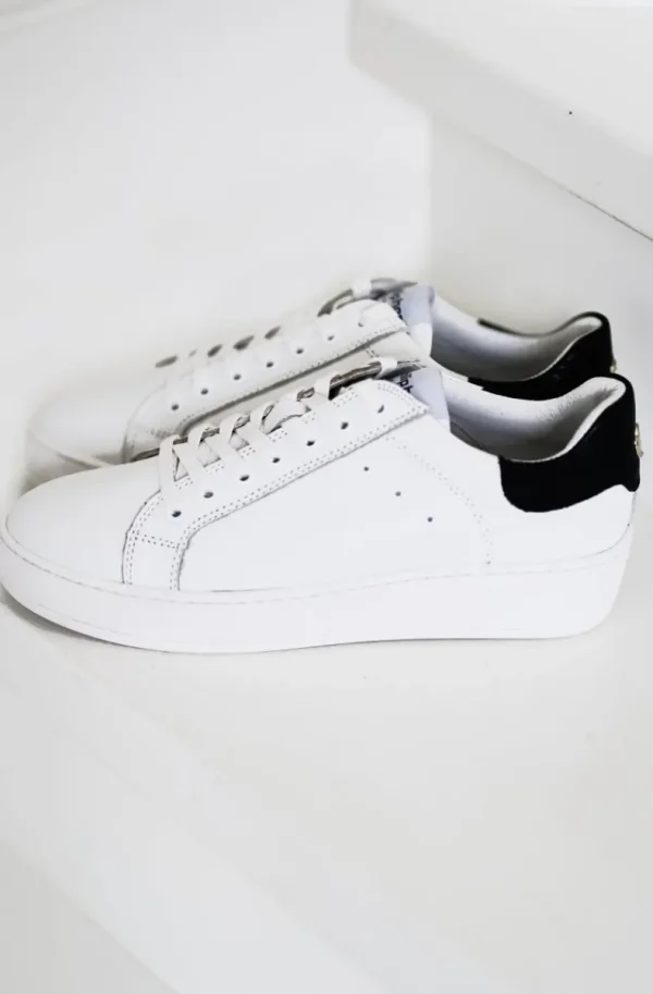 Plain Vanilla & Other Brands We Love Philip Hog - Lova - White Black New