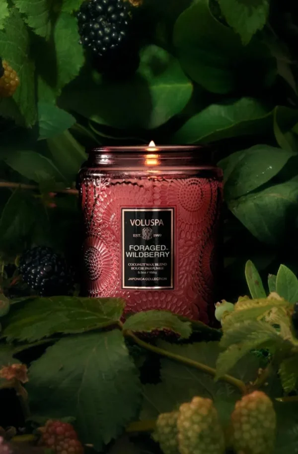 VOLUSPA - Foraged Wildberry Small Jar Candle Clearance