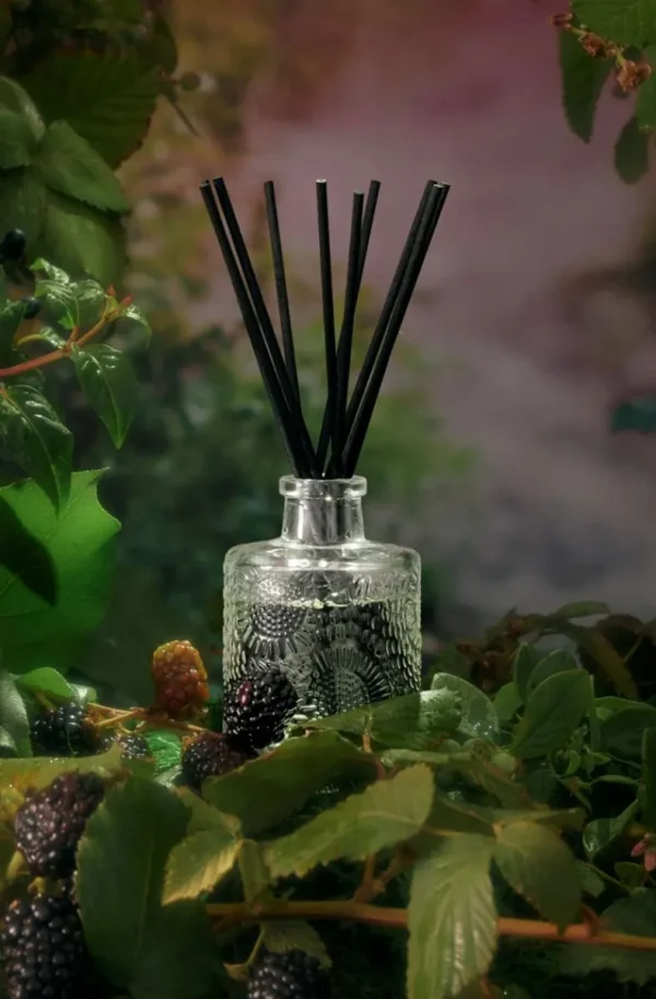 Plain Vanilla & Other Brands We Love Voluspa - Foraged Wildberry Reed Diffuser Best