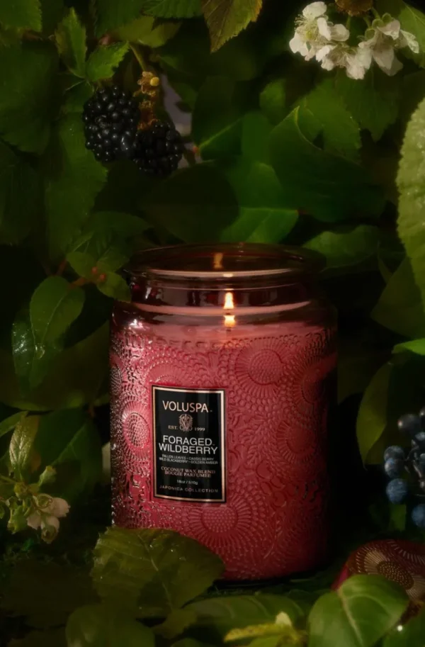 VOLUSPA - Foraged Wildberry Large Jar Candle Fashion