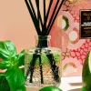 VOLUSPA - Kalahari Watermelon Reed Diffuser Discount